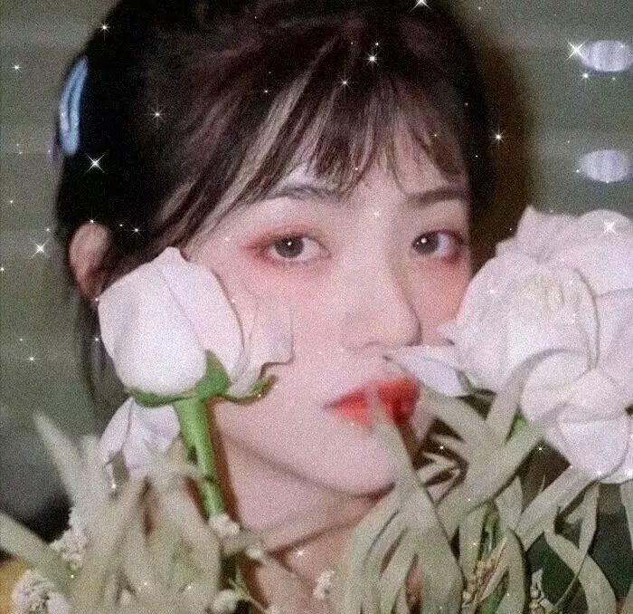 官能的法则